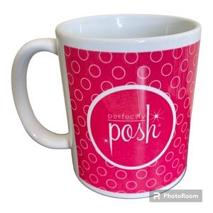 Posh Perfect Coffee Mug! 😃😃💗💗